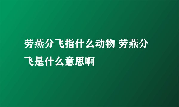 劳燕分飞指什么动物 劳燕分飞是什么意思啊