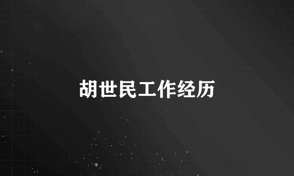 胡世民工作经历