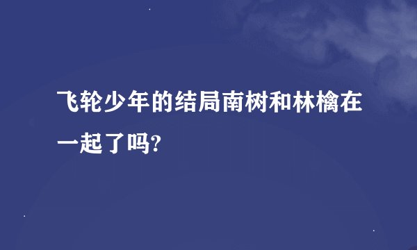 飞轮少年的结局南树和林檎在一起了吗?