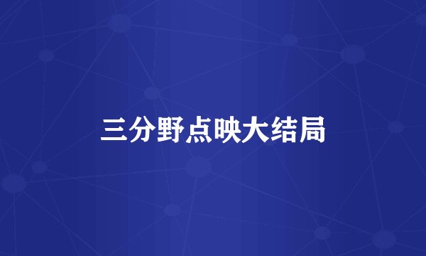 三分野点映大结局