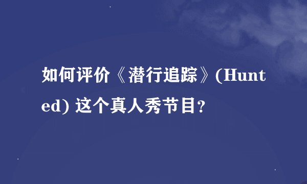 如何评价《潜行追踪》(Hunted) 这个真人秀节目？