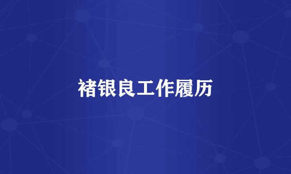 褚银良工作履历