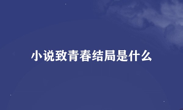 小说致青春结局是什么