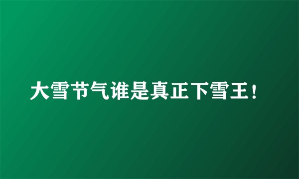 大雪节气谁是真正下雪王！
