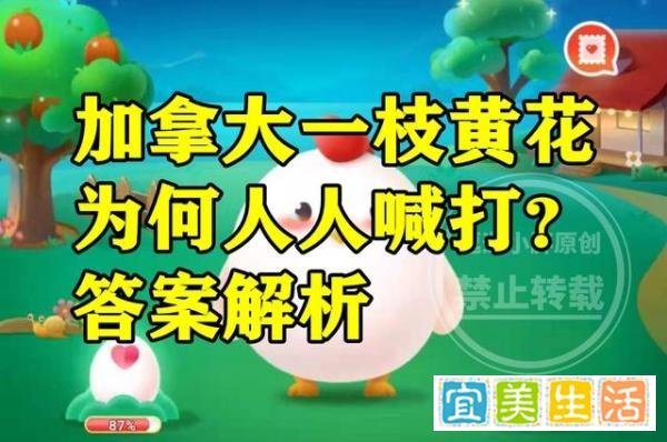 蚂蚁新村加拿大一枝黄花答案 加拿大一枝黄花为什么人人喊打?