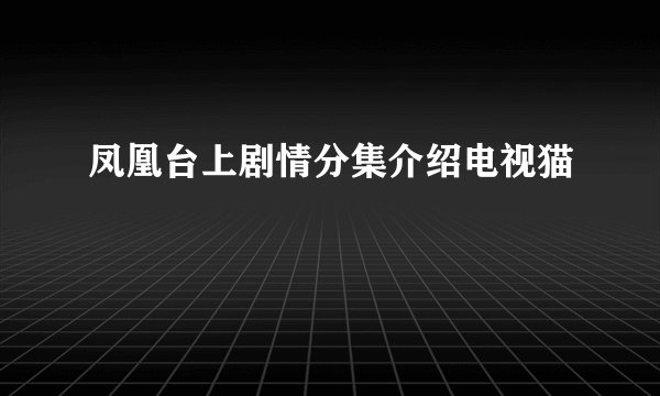 凤凰台上剧情分集介绍电视猫