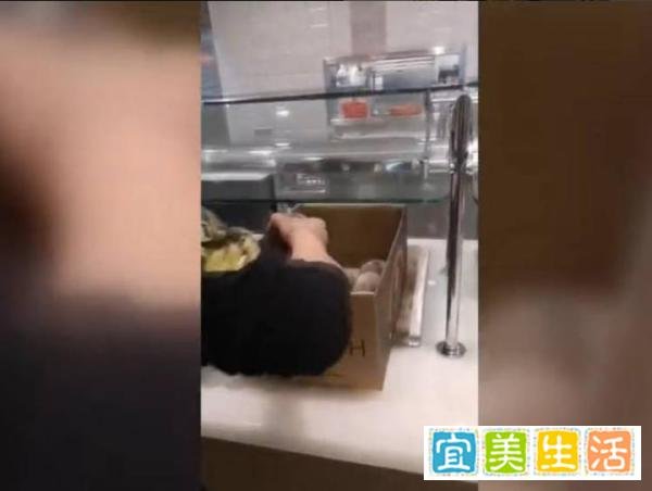 张伟丽发文：明天起UFC餐厅不再管饭，我们真的流浪了