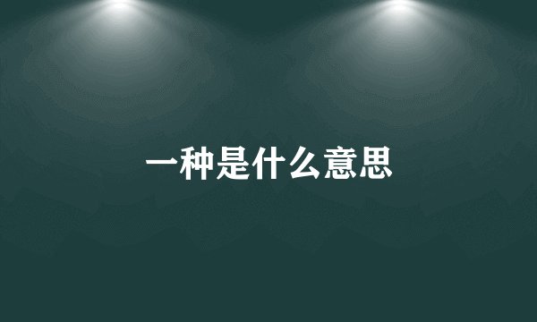 一种是什么意思