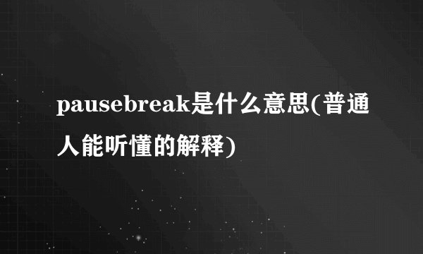 pausebreak是什么意思(普通人能听懂的解释)