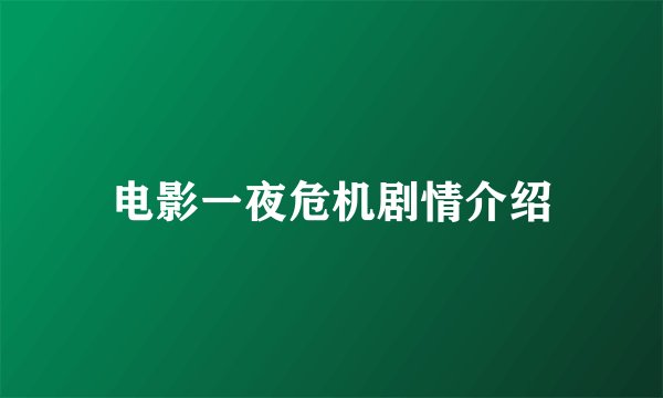 电影一夜危机剧情介绍