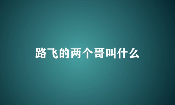 路飞的两个哥叫什么