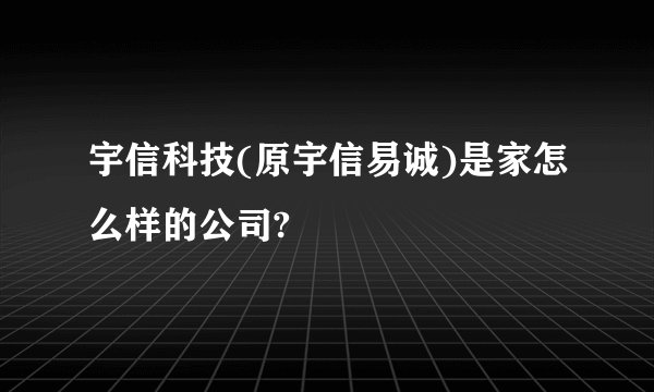 宇信科技(原宇信易诚)是家怎么样的公司?