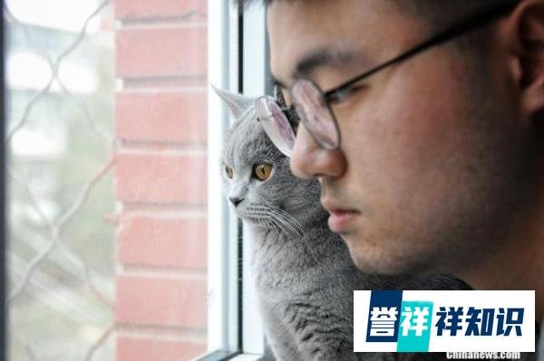 中国新观察｜中国一人户数量超1.25亿！独居者为何越来越多？