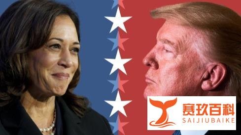 七大摇摆州允许大选重新计票，美国大选走向扑朔迷离