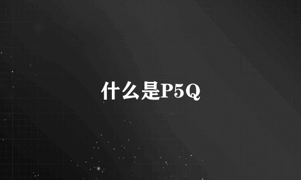 什么是P5Q