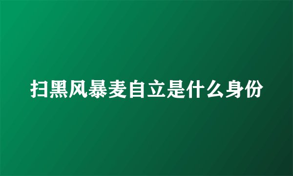 扫黑风暴麦自立是什么身份