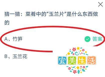 蚂蚁庄园:菜肴中的“玉兰片”是什么东西做的