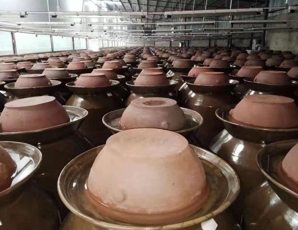 统一邀请1000人到酸菜加工厂参观,这样的证实方式有效吗?