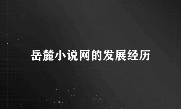 岳麓小说网的发展经历