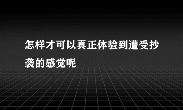 怎样才可以真正体验到遭受抄袭的感觉呢