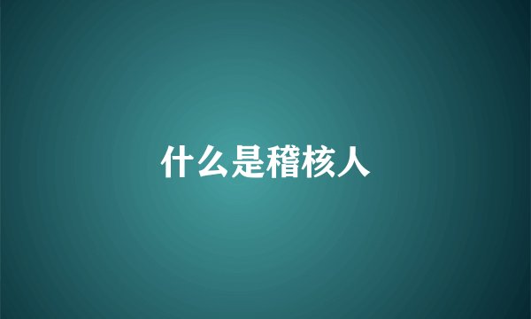 什么是稽核人
