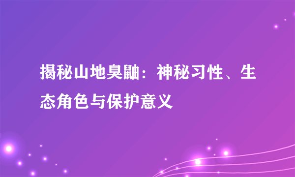 揭秘山地臭鼬：神秘习性、生态角色与保护意义
