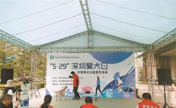 中华田园犬能办狗证了！深圳修改禁养犬，土狗终于不被歧视