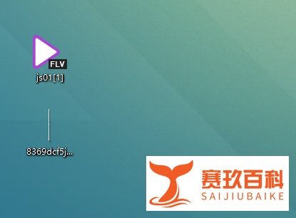 如何提取IE缓存文件
