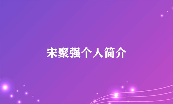 宋聚强个人简介