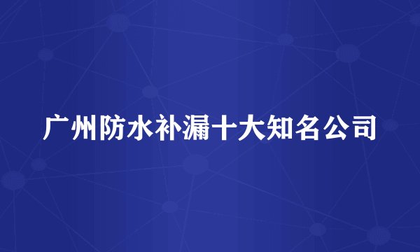 广州防水补漏十大知名公司