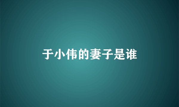 于小伟的妻子是谁