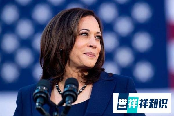 卡马拉·哈里斯（Kamala Harris）是现任美国副总统