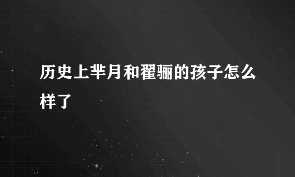 历史上芈月和翟骊的孩子怎么样了