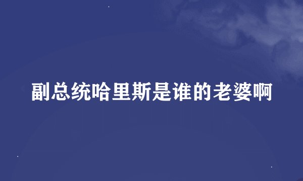 副总统哈里斯是谁的老婆啊