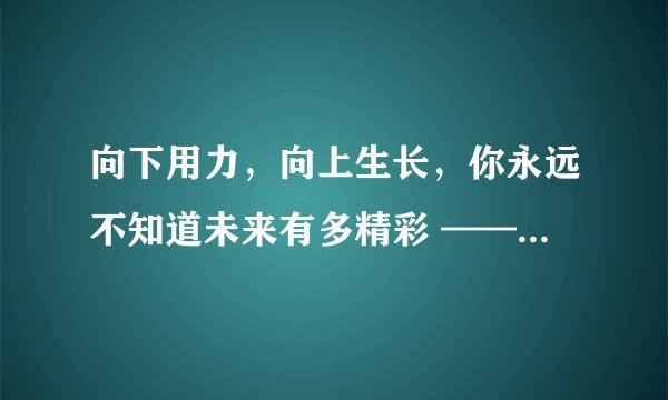向下用力，向上生长，你永远不知道未来有多精彩 ——聚发财集团董事长罗凤魁的别样人生