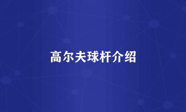 高尔夫球杆介绍