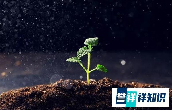 良土育壮苗，人红是非多！李玉刚跳河自尽前因后果