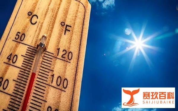 成都升温千足虫满街爬，它们是想干什么？人类如何应对它们？