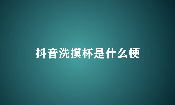 抖音洗摸杯是什么梗