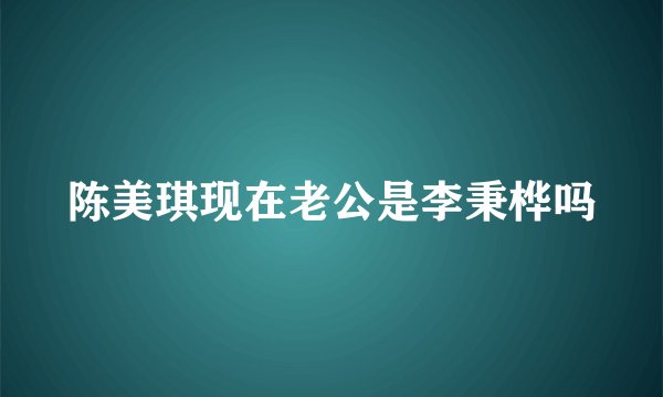 陈美琪现在老公是李秉桦吗