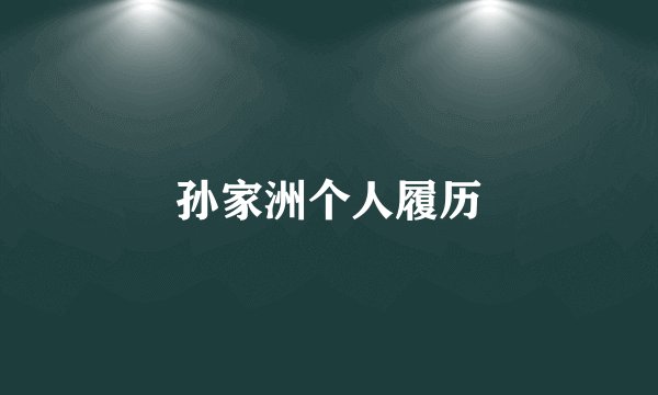 孙家洲个人履历