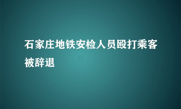 石家庄地铁安检人员殴打乘客被辞退