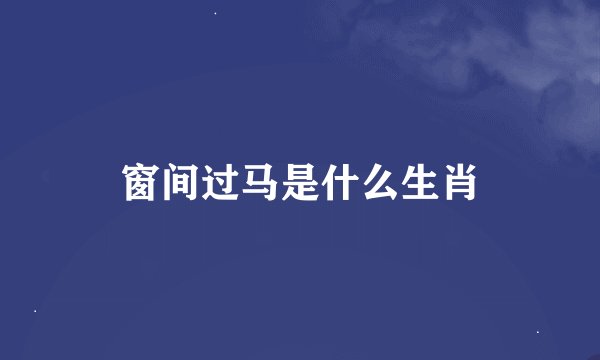 窗间过马是什么生肖