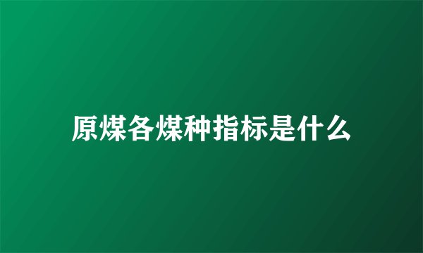 原煤各煤种指标是什么