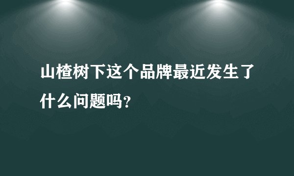 山楂树下这个品牌最近发生了什么问题吗?