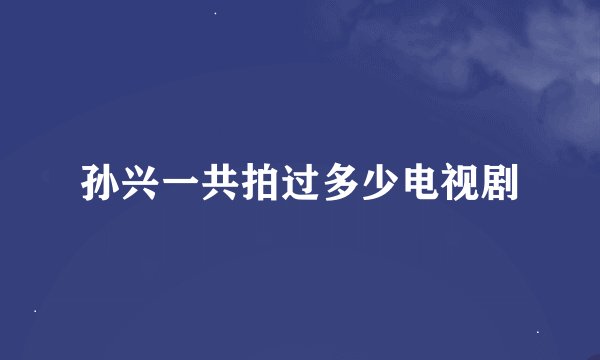 孙兴一共拍过多少电视剧