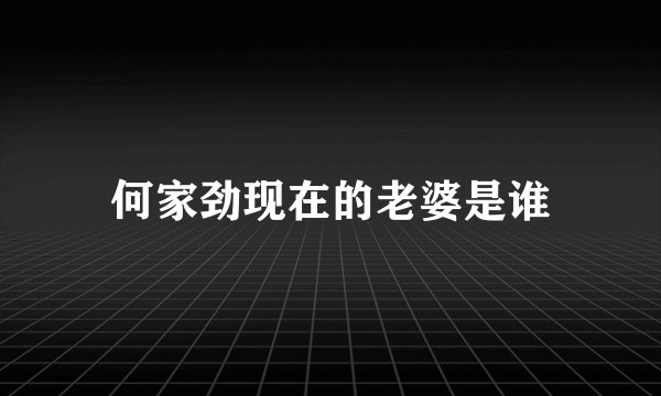何家劲现在的老婆是谁