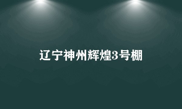 辽宁神州辉煌3号棚