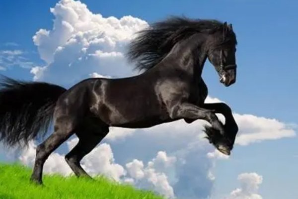 高山深涧是什么生肖