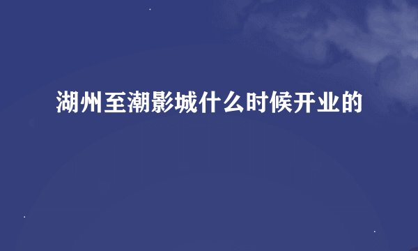 湖州至潮影城什么时候开业的